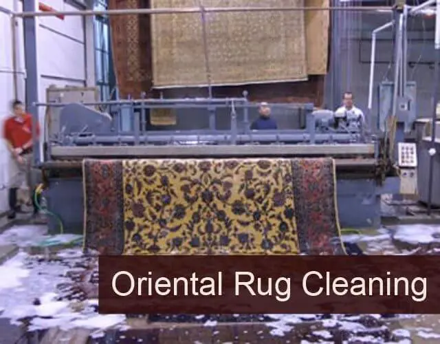 Professional Rug Cleaning Services Los Angeles CA